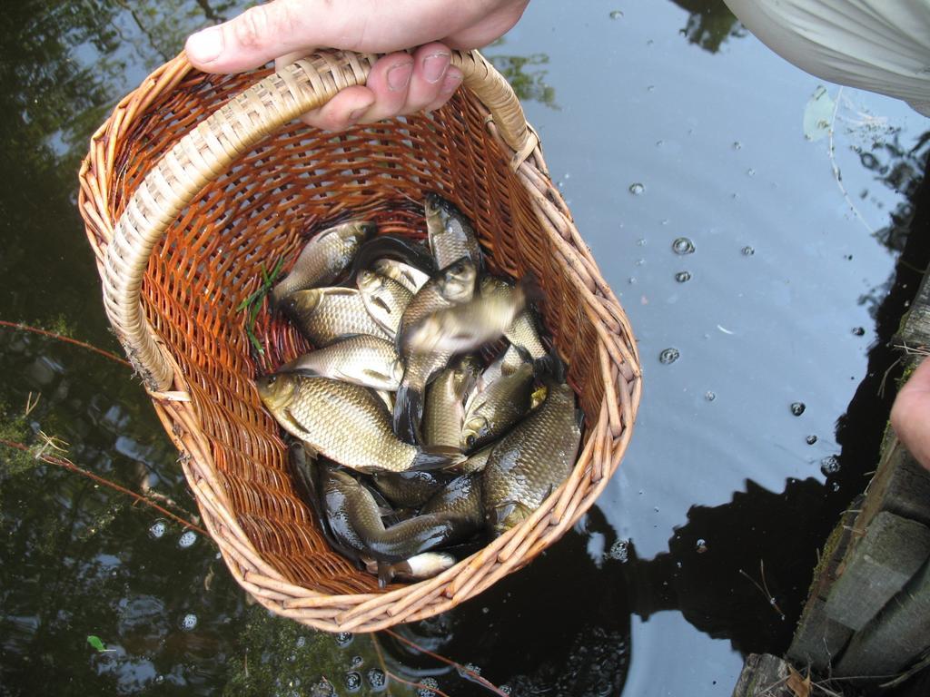 Meteorits Hotel Smiltene Eksteriør billede